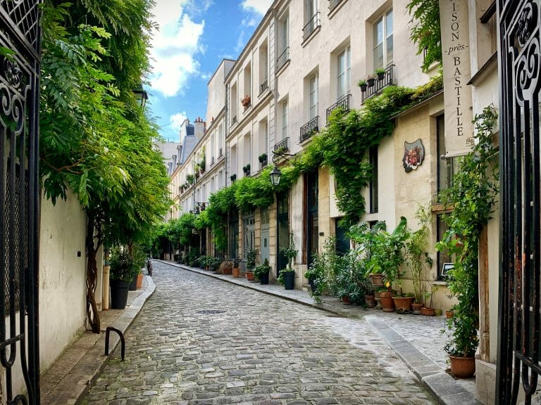 Cour Damoye