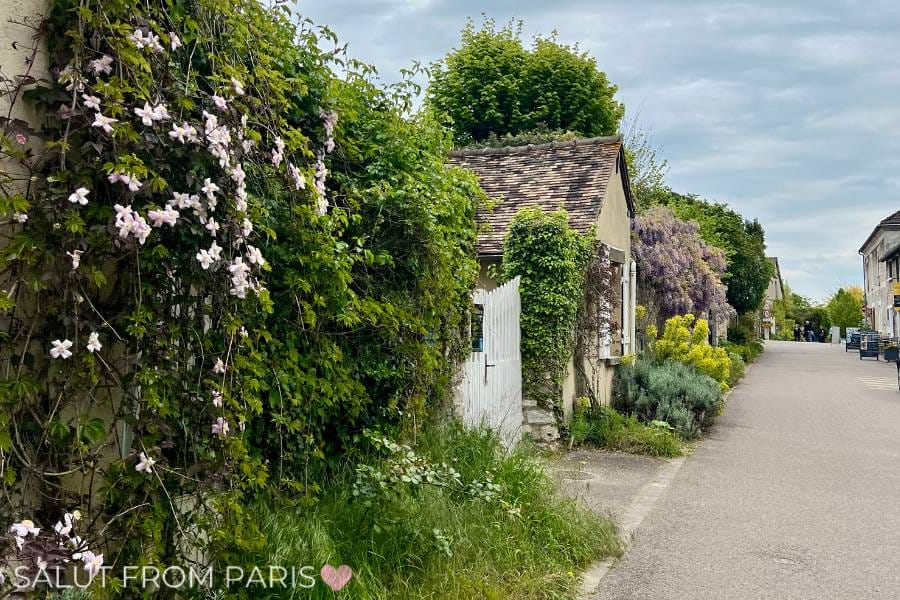 The image shows a peaceful street lined with charming houses covered in greenery and blooming flowers. The rustic buildings, some with vines and colorful plants, evoke a quaint countryside feel. The path stretches ahead, flanked by nature on one side and more homes in the distance.