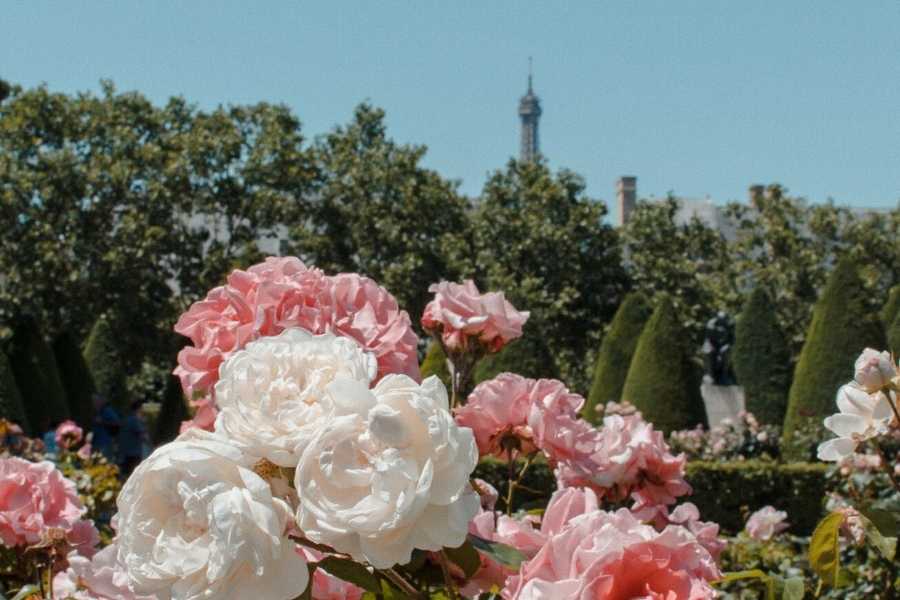 Rodin Museum in Paris