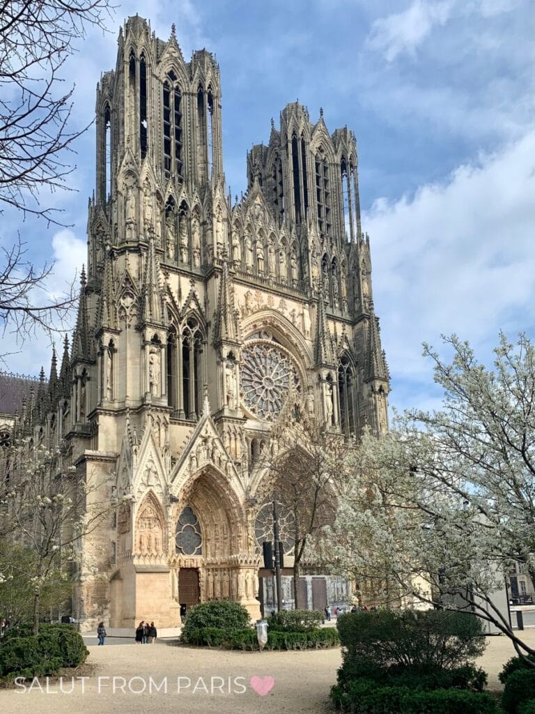 Cathedrale de Reims, with blue sky and spring blossoms in the foreground