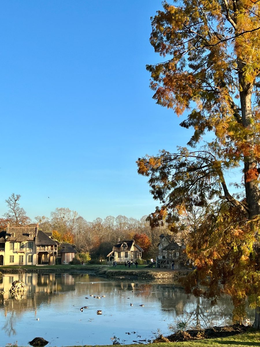 Sunlit autumn scene in a Paris park, with a large tree displaying vibrant fall colors and a couple walking along a winding path.
