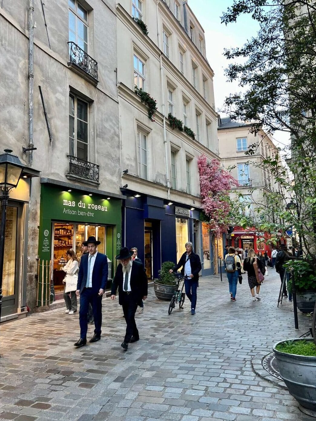 Marais in Paris with cherry blossoms and pedestrian street