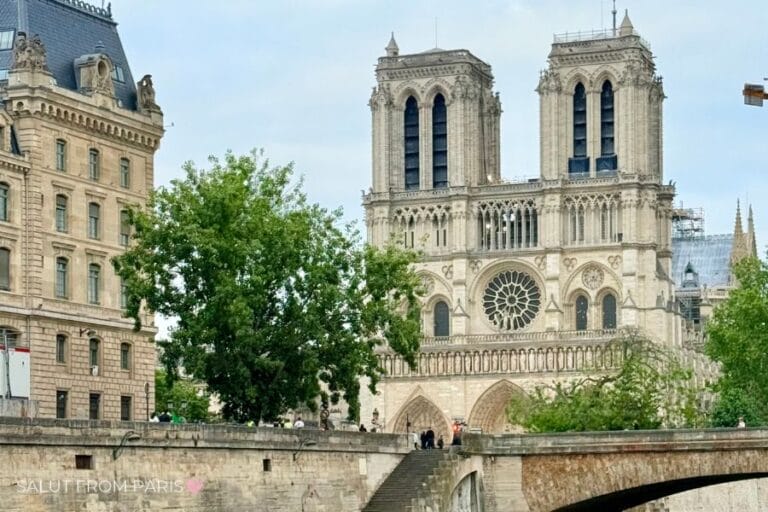 A wide shot of Notre-Dame Cathedralโs iconic twin towers viewed from the Seine River, with a glass-roofed sightseeing boat cruising by in the foreground. The stone embankment and staircase lead up to the cathedral entrance.