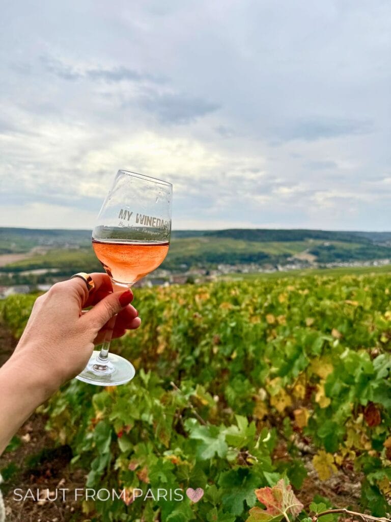 Rose champagne in front of wine yards